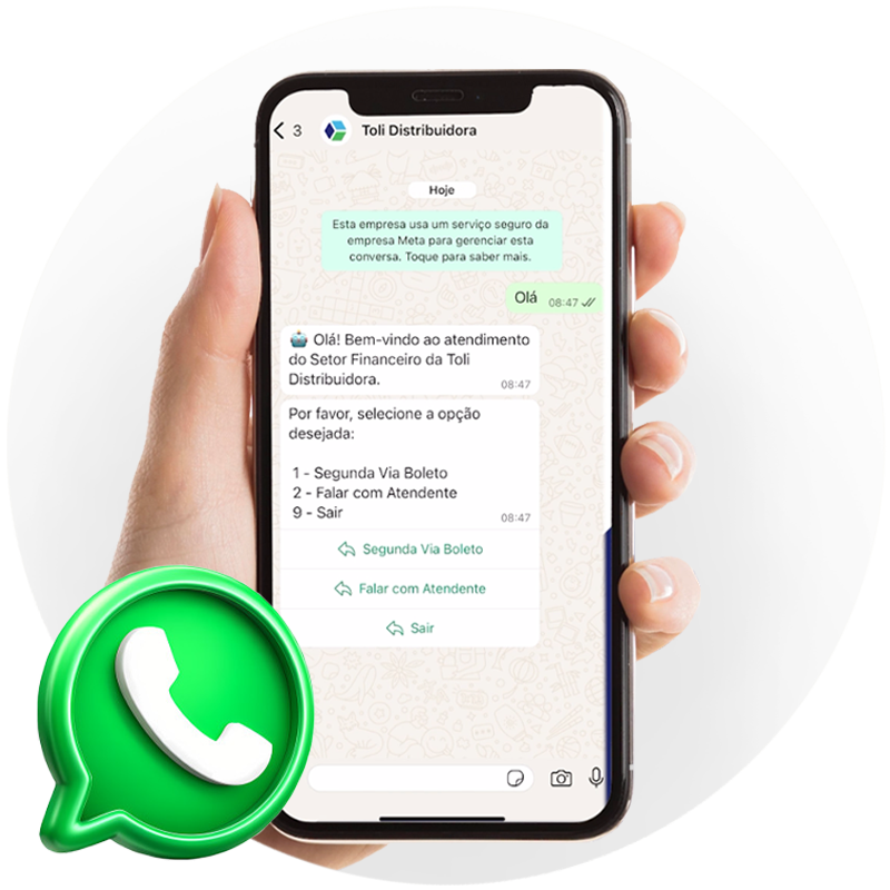 Assistente financeiro Toli Distribuidora
