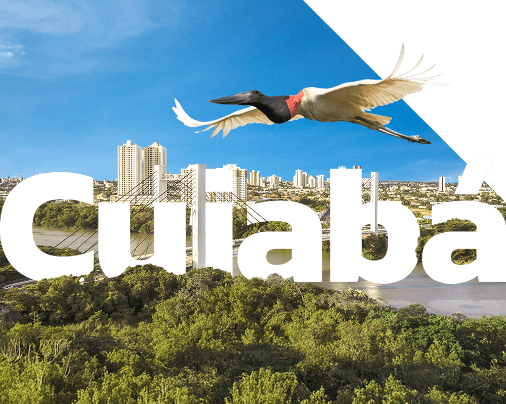 Toli Distribuidora Cuiabá
